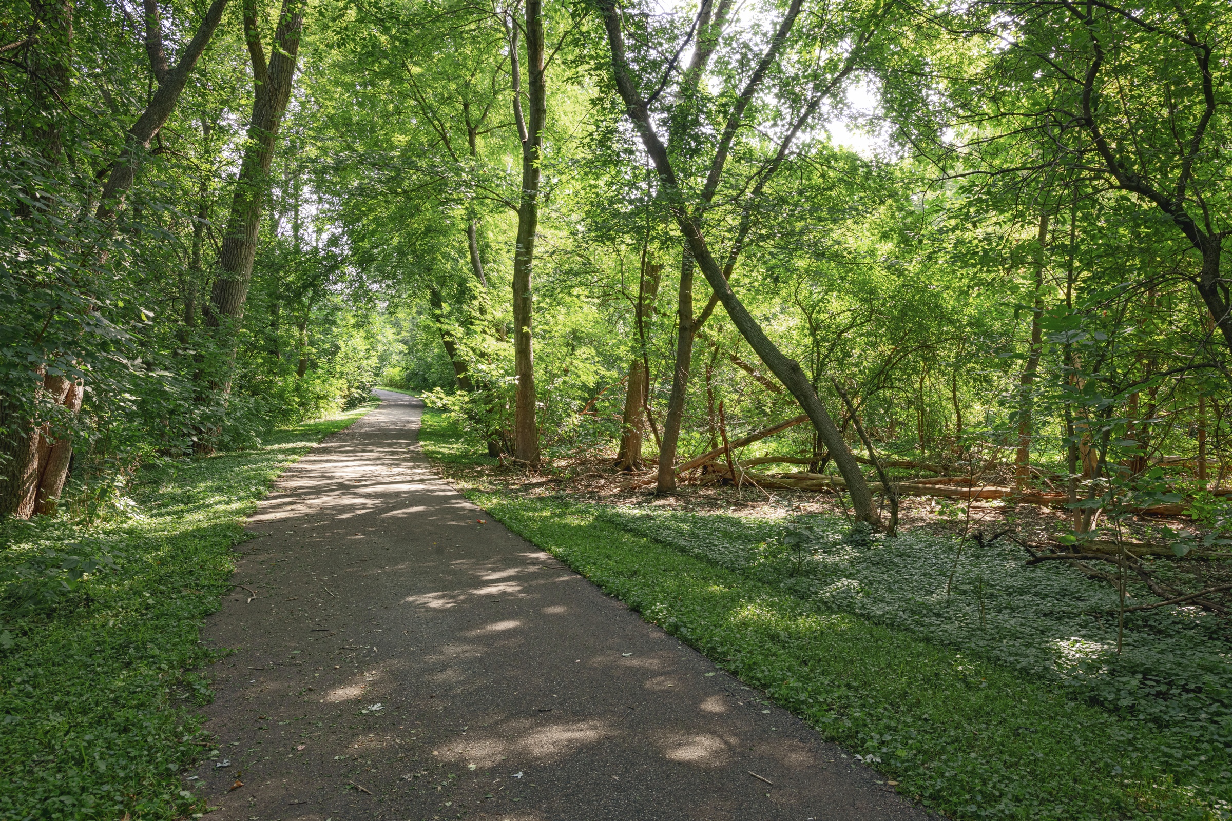 Mallard Creek  Image 18